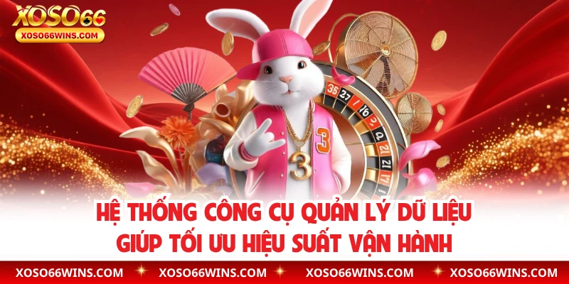 Hệ thống công cụ quản lý dữ liệu giúp tối ưu hiệu suất vận hành