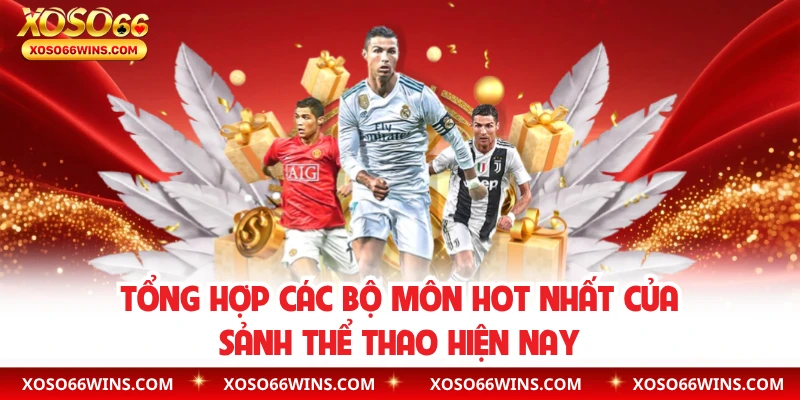 Tổng hợp các bộ môn hot nhất của sảnh thể thao hiện nay